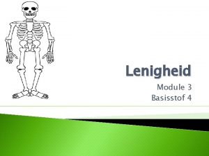 Lenigheid Module 3 Basisstof 4 Skelet Inwendig skelet
