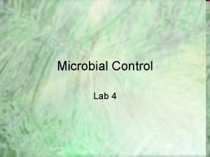 Microbial Control Lab 4 Selective and Differential Media