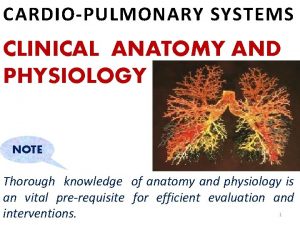 CARDIOPULMONARY SYSTEMS CLINICAL ANATOMY AND PHYSIOLOGY NOTE Thorough