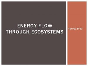 ENERGY FLOW THROUGH ECOSYSTEMS Spring 2012 ENERGY FLOW