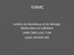 IGBMC Institut de Gntique et de Biologie Molculaire