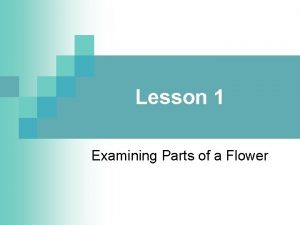 Lesson 1 Examining Parts of a Flower Student