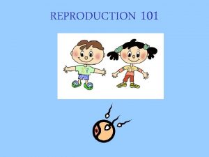 REPRODUCTION 101 Male Reproduction Vocabulary Circumcision Surgically removing