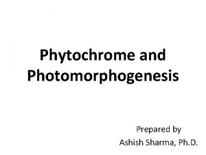 Phytochrome and Photomorphogenesis Prepared by Ashish Sharma Ph