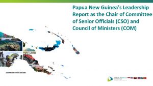Papua New Guineas Leadership Report as the Chair