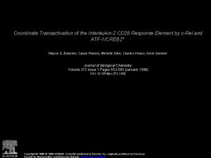 Coordinate Transactivation of the Interleukin2 CD 28 Response