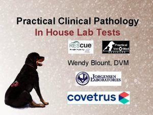 Practical Clinical Pathology In House Lab Tests Wendy