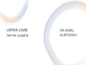 UPPER LIMB nerve supply DR AMAL ALBTOOSH RADIAL