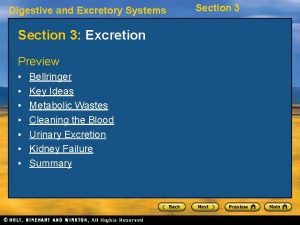 Digestive and Excretory Systems Section 3 Excretion Preview