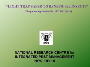 LIGHT TRAP SAFER TO BENEFICIAL INSECTS The patent