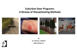 Suburban Deer Programs A Review of Sharpshooting Methods