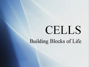 CELLS Building Blocks of Life Every living thing