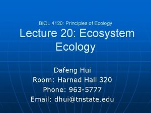 BIOL 4120 Principles of Ecology Lecture 20 Ecosystem