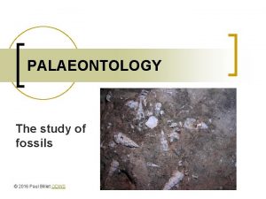 PALAEONTOLOGY The study of fossils 2016 Paul Billiet