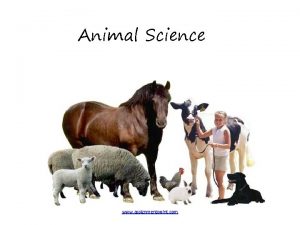 Animal Science www assignmentpoint com What is Animal