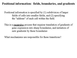 Positional information fields boundaries and gradients Positional information