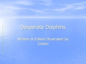 Desperate Dolphins Written Edited Illustrated by Corbin introduction