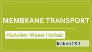 MEMBRANE TRANSPORT Abdallah Wasel Hattab lecture 23 One