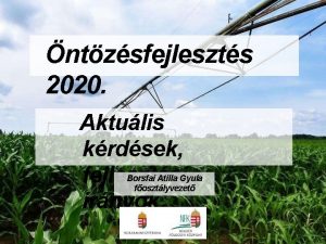 ntzsfejleszts 2020 Aktulis krdsek fejlesztsi irnyok Borsfai Atilla