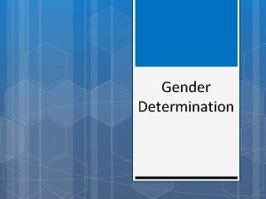 Gender Determination Sex Determination In humans what genetically