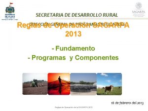 SECRETARIA DE DESARROLLO RURAL DIRECCIN DE PROGRAMAS REGIONALES