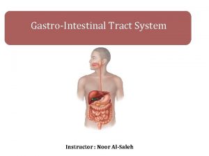 GastroIntestinal Tract System Instructor Noor AlSaleh Introduction Stool