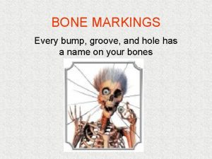 BONE MARKINGS Every bump groove and hole has