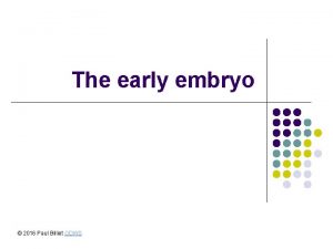 The early embryo 2016 Paul Billiet ODWS The