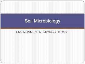 Soil Microbiology ENVIRONMENTAL MICROBIOLOGY WHAT IS SOIL Soils