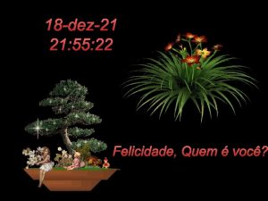 18 dez21 21 55 22 Felicidade Quem voc