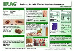 Bedbugs Control Effective Resistance Management www iraconline org