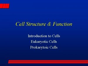 Cell Structure Function Introduction to Cells Eukaryotic Cells