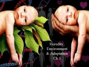 HEREDITY ENVIRONMENT ADAPTATION Chapter 2 Heredity Environment Adaptation