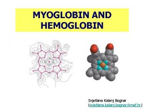 MYOGLOBIN AND HEMOGLOBIN Svjetlana Kalanj Bognar svjetlana kalanj