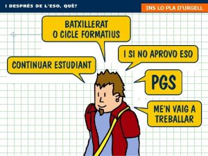 Ins lo pla d'urgell tutoria Ins lo pla d'urgell tutoria