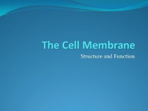 The Cell Membrane Structure and Function Cell Membrane