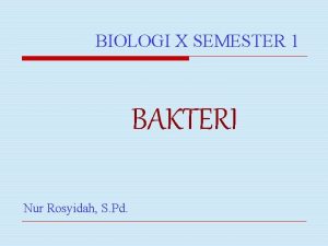 BIOLOGI X SEMESTER 1 BAKTERI Nur Rosyidah S