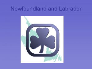 Newfoundland Labrador Grow Guiding Team A team full