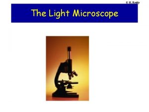 H Reidy The Light Microscope H Reidy The