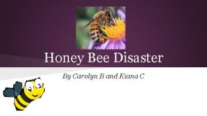 Honey Bee Disaster By Carolyn B and Kiana