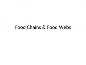 Food Chains Food Webs What is a food