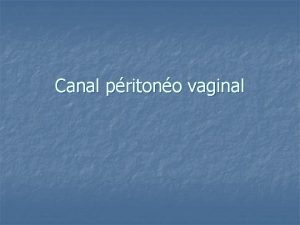 Canal pritono vaginal Canal pritono vaginal n Au