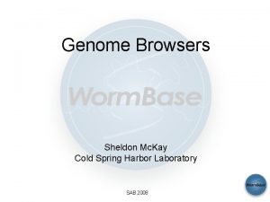 Genome Browsers Sheldon Mc Kay Cold Spring Harbor