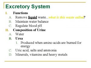 Excretory System Functions A Remove liquid waste what