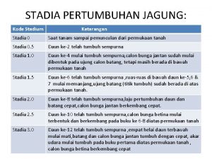 STADIA PERTUMBUHAN JAGUNG Kode Stadium Keterangan Stadia 0