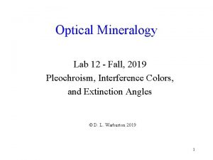 Optical Mineralogy Lab 12 Fall 2019 Pleochroism Interference