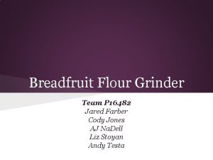 Breadfruit Flour Grinder Team P 16482 Jared Farber