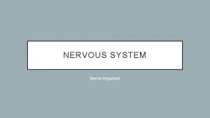 NERVOUS SYSTEM Nerve Impulses PHYSIOLOGY NERVE IMPULSES Two