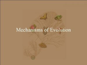 Mechanisms of Evolution Goals 1 Understand the four