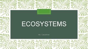 ECOSYSTEMS Ms Casselman What is an Ecosystem Yes